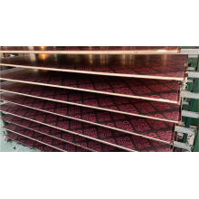 Wood Wood Wood Wood -Wood Woodwood de 4x8 Shuttering Woodwood/18 mm Film